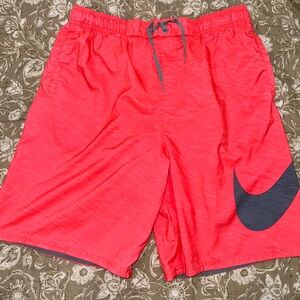 Nike Swim Trunks